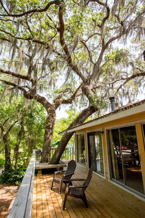 Riverfront Treetop Bungalow Homosassa Exterior foto